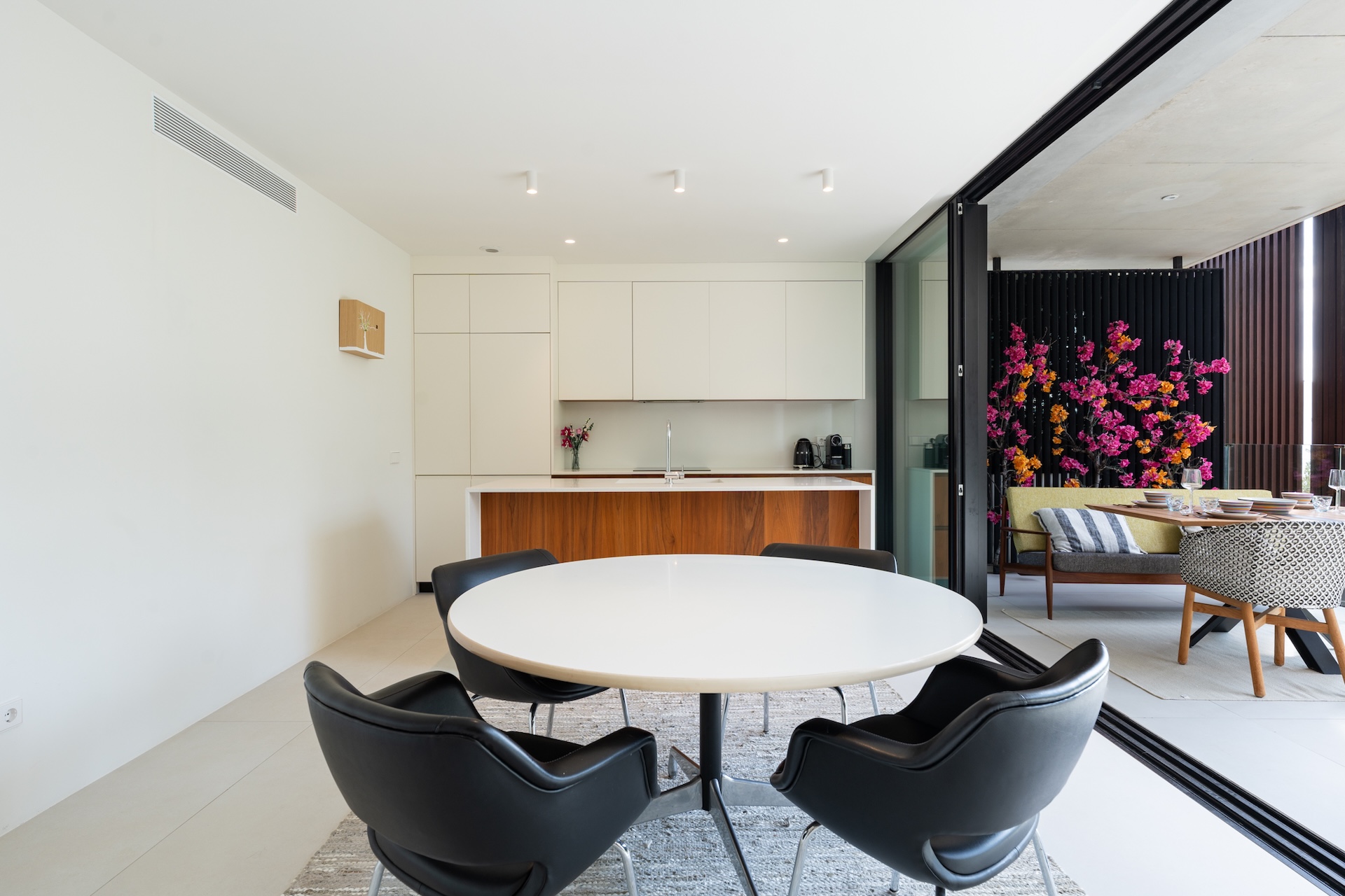 Talamanca 14-10-25-32.jpg